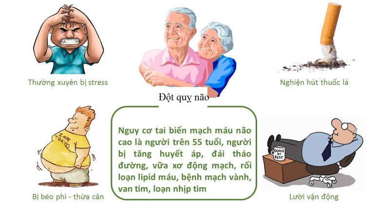 Nguyên nhân dẫn đến tình trạng đột quỵ 