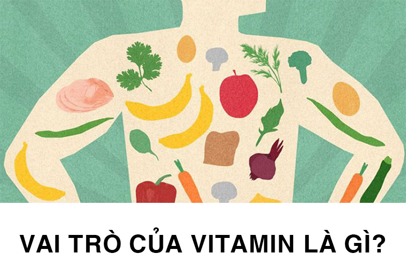 7 Chức năng của vitamin trong cơ thể: