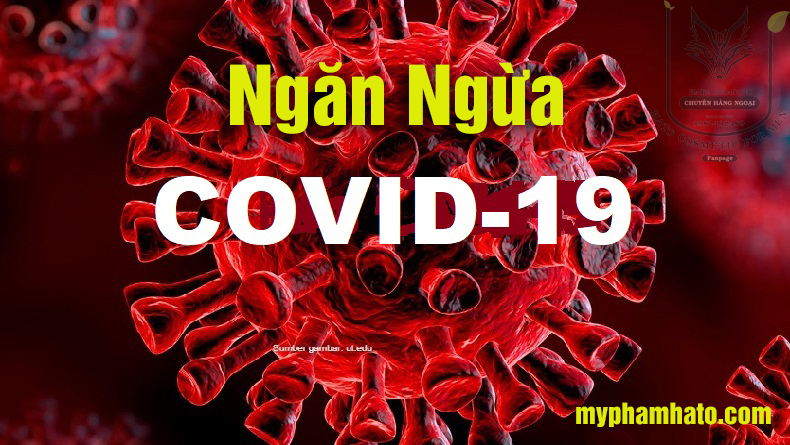 Vitamin D3 và Covid-19